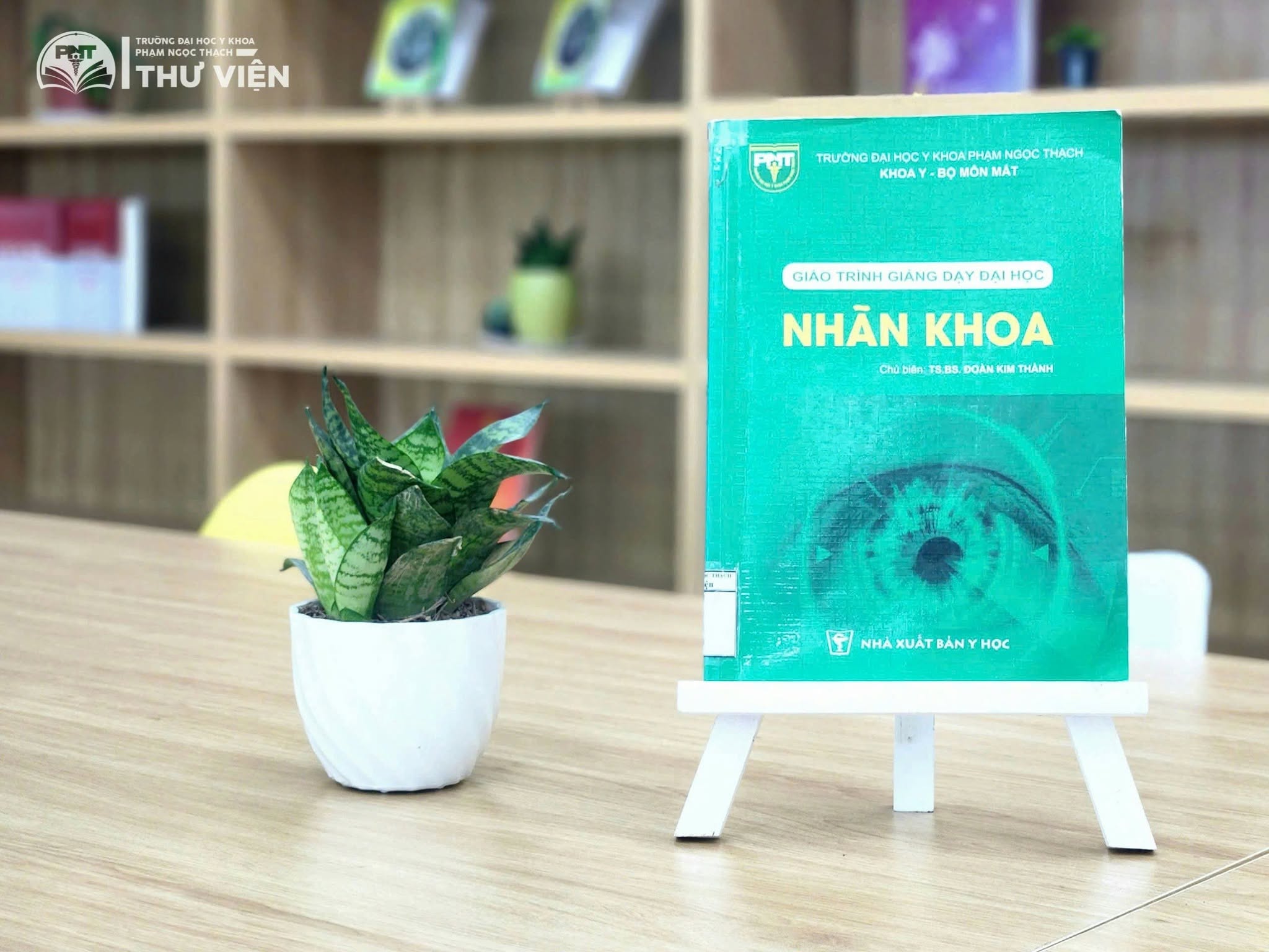 Giáo trình giảng dạy Đại học: NHÃN KHOA